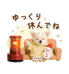 名入れ☆癒しチワワの毎年使える年賀状（個別スタンプ：33）