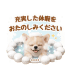 名入れ☆癒しチワワの毎年使える年賀状（個別スタンプ：40）