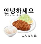 国産豚のとんかつ【韓国語】（個別スタンプ：1）