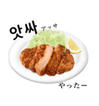 国産豚のとんかつ【韓国語】（個別スタンプ：16）