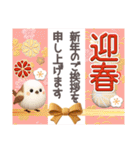 バラエティーパック3D❤️年末年始 冬 挨拶（個別スタンプ：19）