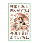 白馬と三毛猫のあけおめスタンプ【うま年】（個別スタンプ：17）