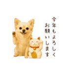 あけおめ！ほんわかチワワ♡（個別スタンプ：2）
