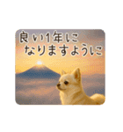 あけおめ！ほんわかチワワ♡（個別スタンプ：4）