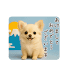 あけおめ！ほんわかチワワ♡（個別スタンプ：5）