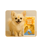 あけおめ！ほんわかチワワ♡（個別スタンプ：6）