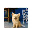 あけおめ！ほんわかチワワ♡（個別スタンプ：10）