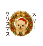 あけおめ！ほんわかチワワ♡（個別スタンプ：13）