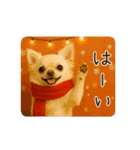あけおめ！ほんわかチワワ♡（個別スタンプ：19）