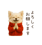 あけおめ！ほんわかチワワ♡（個別スタンプ：24）