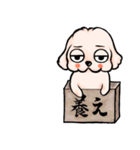 ゆるだる犬【太郎】たろ犬 8（個別スタンプ：13）