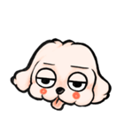 ゆるだる犬【太郎】たろ犬 8（個別スタンプ：17）