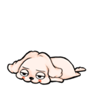 ゆるだる犬【太郎】たろ犬 8（個別スタンプ：21）