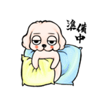 ゆるだる犬【太郎】たろ犬 8（個別スタンプ：33）