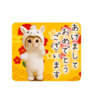 年末年始＆あけおめ！うまの着ぐるみネコ♡（個別スタンプ：1）