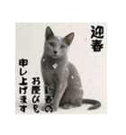 毎年使える♡ロシアンブルーの年末年始（個別スタンプ：2）