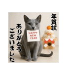 毎年使える♡ロシアンブルーの年末年始（個別スタンプ：3）