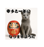 毎年使える♡ロシアンブルーの年末年始（個別スタンプ：4）