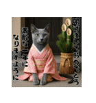 毎年使える♡ロシアンブルーの年末年始（個別スタンプ：8）