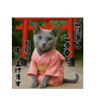 毎年使える♡ロシアンブルーの年末年始（個別スタンプ：11）