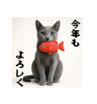 毎年使える♡ロシアンブルーの年末年始（個別スタンプ：12）