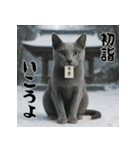 毎年使える♡ロシアンブルーの年末年始（個別スタンプ：14）