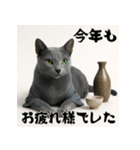 毎年使える♡ロシアンブルーの年末年始（個別スタンプ：15）