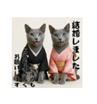 毎年使える♡ロシアンブルーの年末年始（個別スタンプ：16）