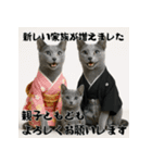 毎年使える♡ロシアンブルーの年末年始（個別スタンプ：17）