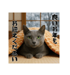 毎年使える♡ロシアンブルーの年末年始（個別スタンプ：18）