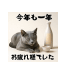 毎年使える♡ロシアンブルーの年末年始（個別スタンプ：19）