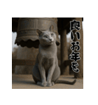 毎年使える♡ロシアンブルーの年末年始（個別スタンプ：20）