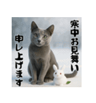 毎年使える♡ロシアンブルーの年末年始（個別スタンプ：21）