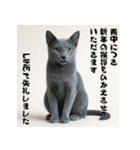 毎年使える♡ロシアンブルーの年末年始（個別スタンプ：22）