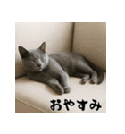 毎年使える♡ロシアンブルーの年末年始（個別スタンプ：24）