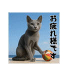 毎年使える♡ロシアンブルーの年末年始（個別スタンプ：25）