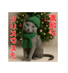 毎年使える♡ロシアンブルーの年末年始（個別スタンプ：27）