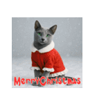 毎年使える♡ロシアンブルーの年末年始（個別スタンプ：28）