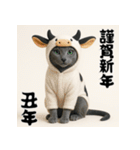 毎年使える♡ロシアンブルーの年末年始（個別スタンプ：30）