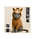 毎年使える♡ロシアンブルーの年末年始（個別スタンプ：35）