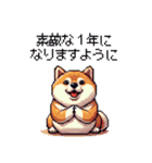 冬 年末年始のふとっちょ柴犬 ずっと使える（個別スタンプ：3）