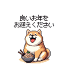 冬 年末年始のふとっちょ柴犬 ずっと使える（個別スタンプ：5）