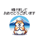 冬 年末年始のふとっちょ柴犬 ずっと使える（個別スタンプ：7）