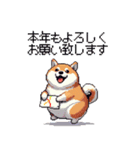 冬 年末年始のふとっちょ柴犬 ずっと使える（個別スタンプ：8）