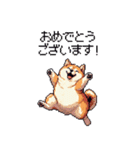 冬 年末年始のふとっちょ柴犬 ずっと使える（個別スタンプ：9）