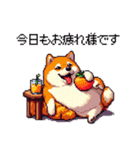 冬 年末年始のふとっちょ柴犬 ずっと使える（個別スタンプ：10）