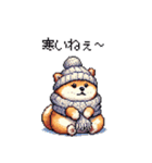 冬 年末年始のふとっちょ柴犬 ずっと使える（個別スタンプ：12）