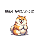 冬 年末年始のふとっちょ柴犬 ずっと使える（個別スタンプ：14）