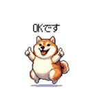 冬 年末年始のふとっちょ柴犬 ずっと使える（個別スタンプ：16）