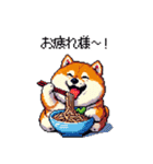 冬 年末年始のふとっちょ柴犬 ずっと使える（個別スタンプ：19）